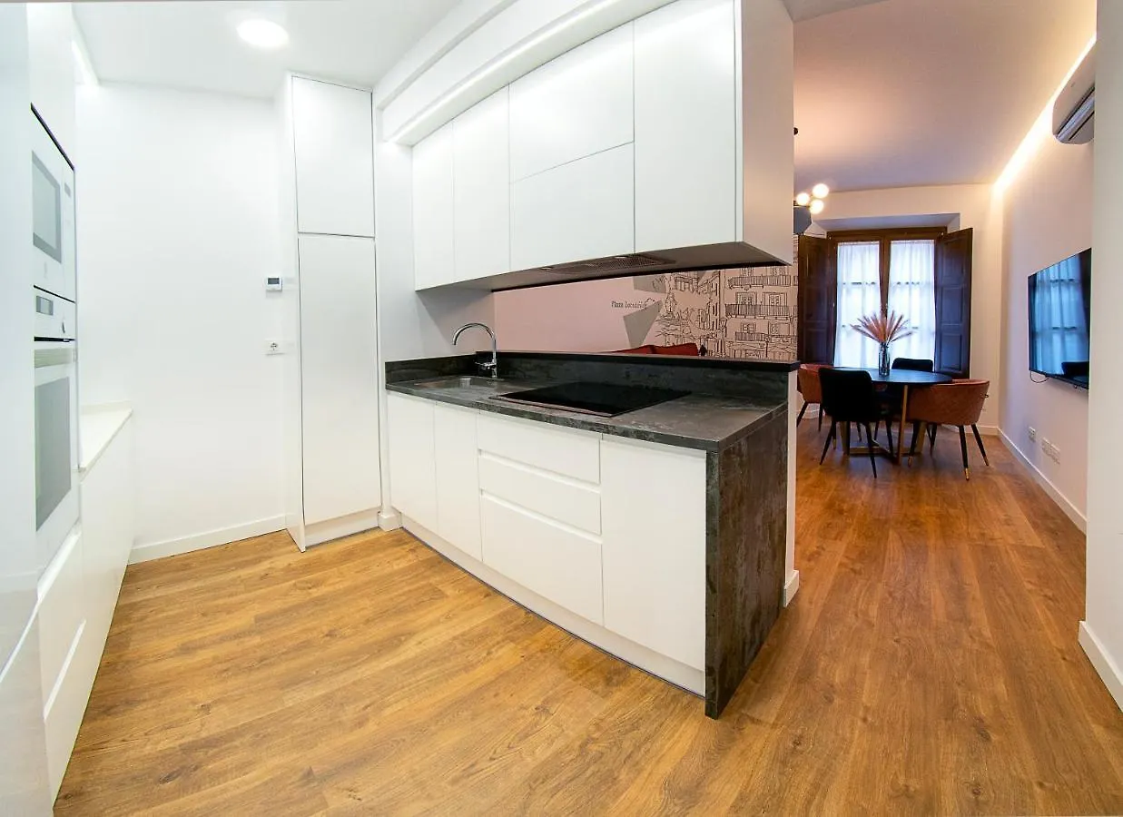 Cervantes 5 Collection Delux - Toletum - Zocodover Toledo Apartment